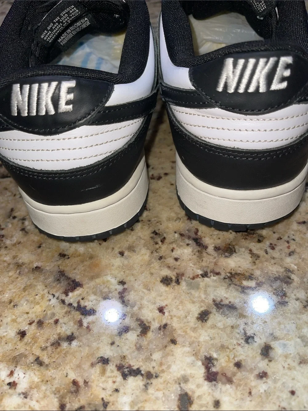 Nike Dunk Men’s Black/White Low-Top Sneakers